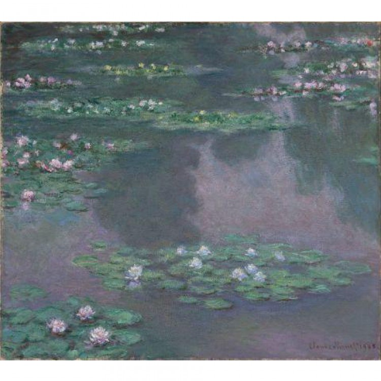 Olieverf schilderij Water Lelies  foto 1