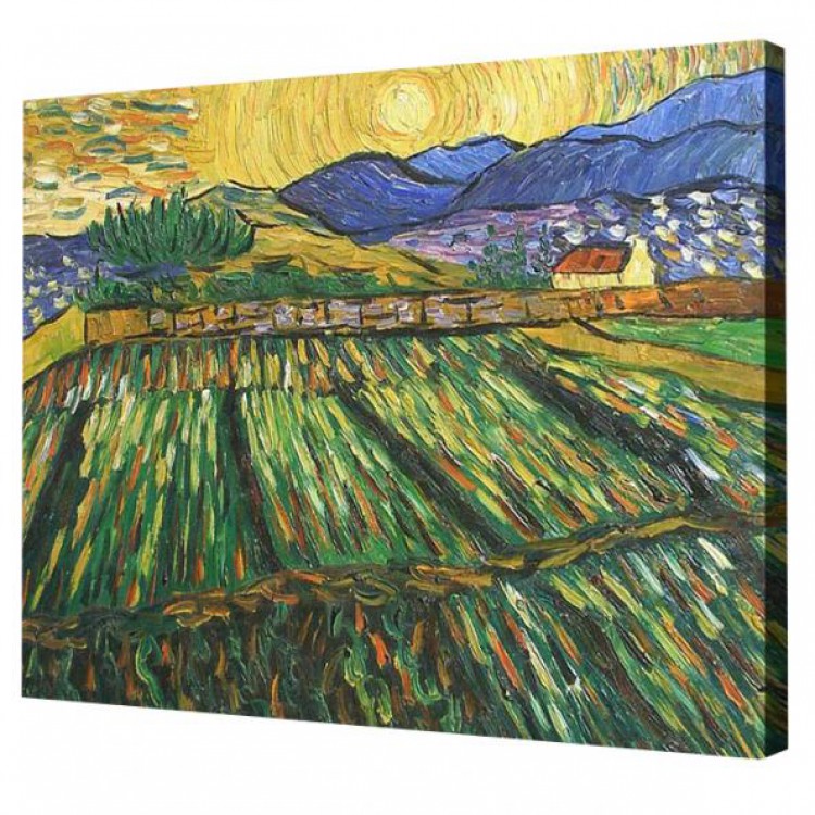Schilderij Veld met opkomende zon  foto 1
