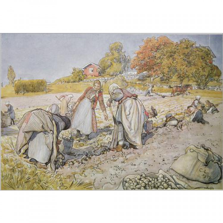 Olieverf schilderij Digging Potatoes foto 1