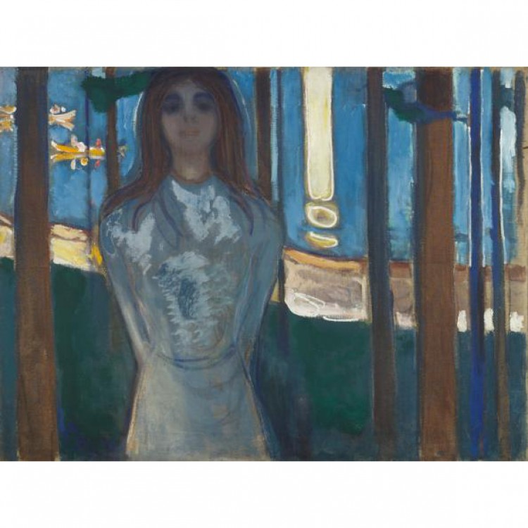 Schilderij The voice of summer night foto 1