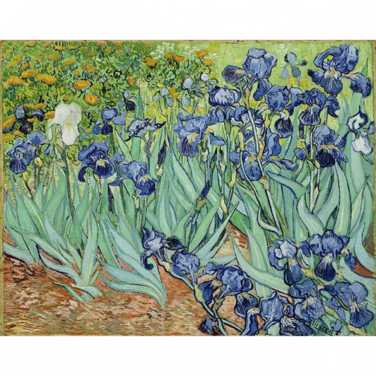 Olieverfschilderij De Irissen foto 1