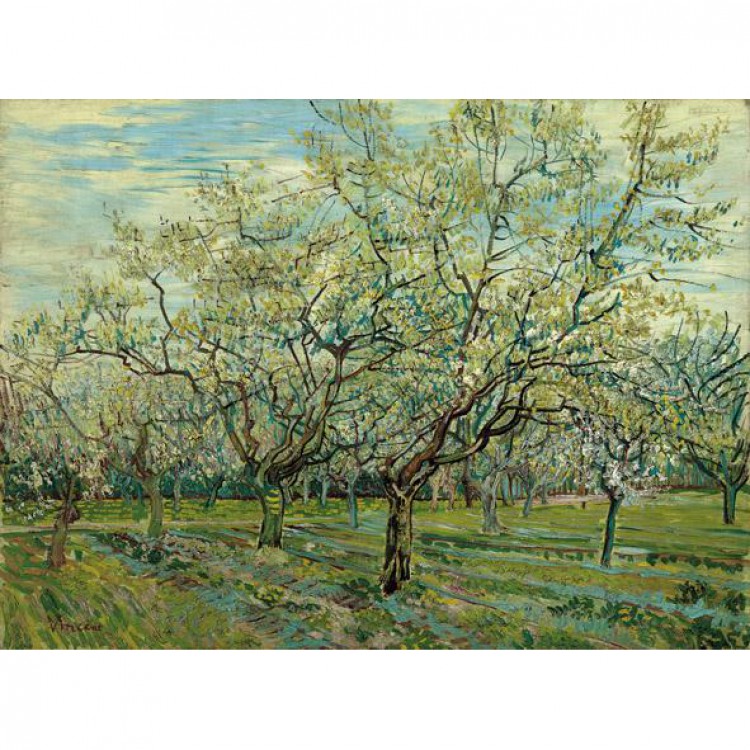 Olieverschilderij De witte boomgaard foto 1