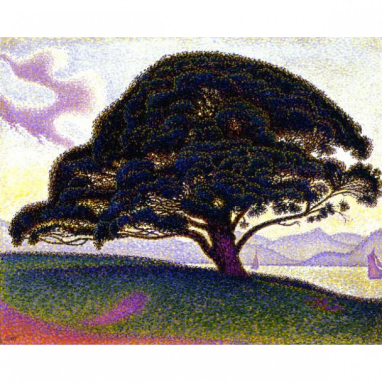 Schilderij The Bonaventure Pine foto 1