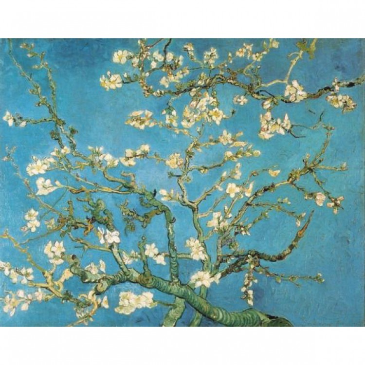 Olieverf schilderij Amandelbloesem foto 1
