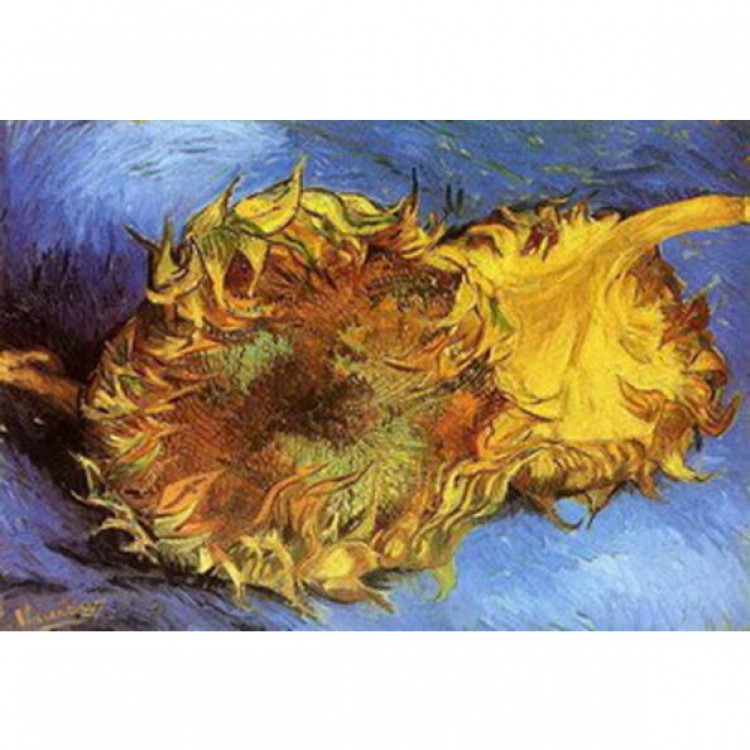 Schilderij Two Faded Sunflowers foto 1