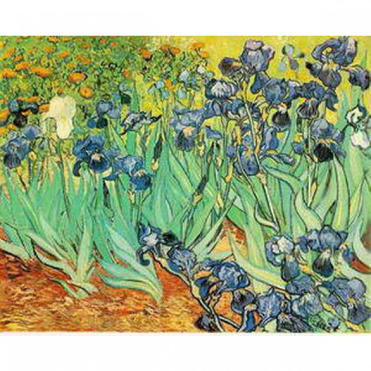 Schilderij The Irises foto 1
