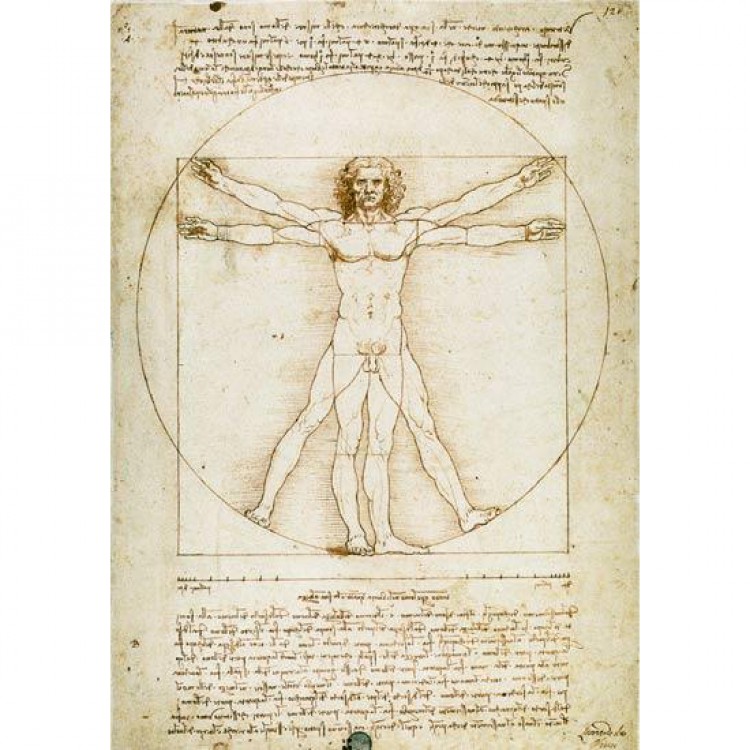 Schilderij Man van Vitruvius - Da vinci foto 1