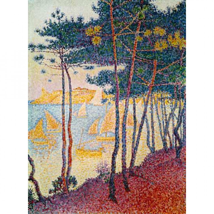 Schilderij Pinien und Segelboote foto 1