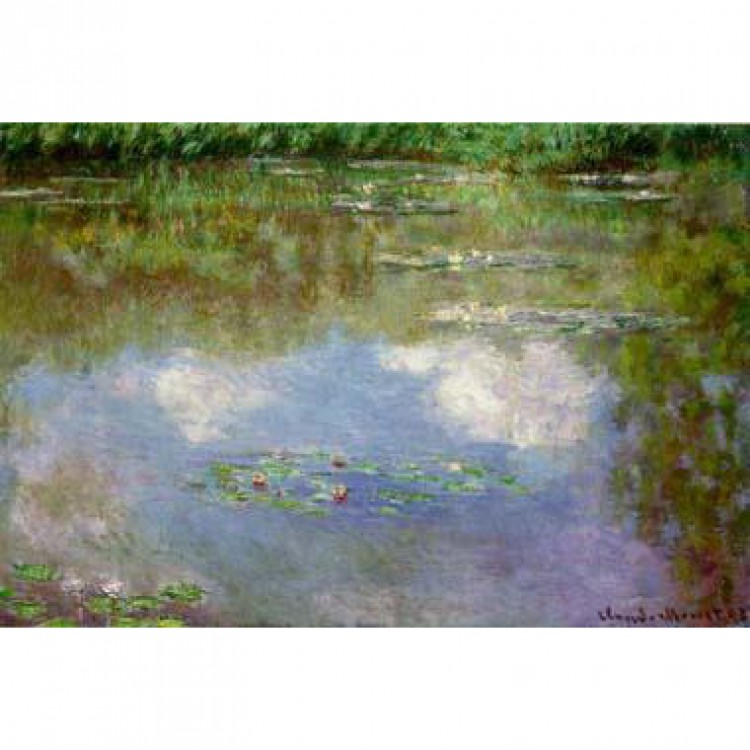 Schilderij Waterlelies  foto 1