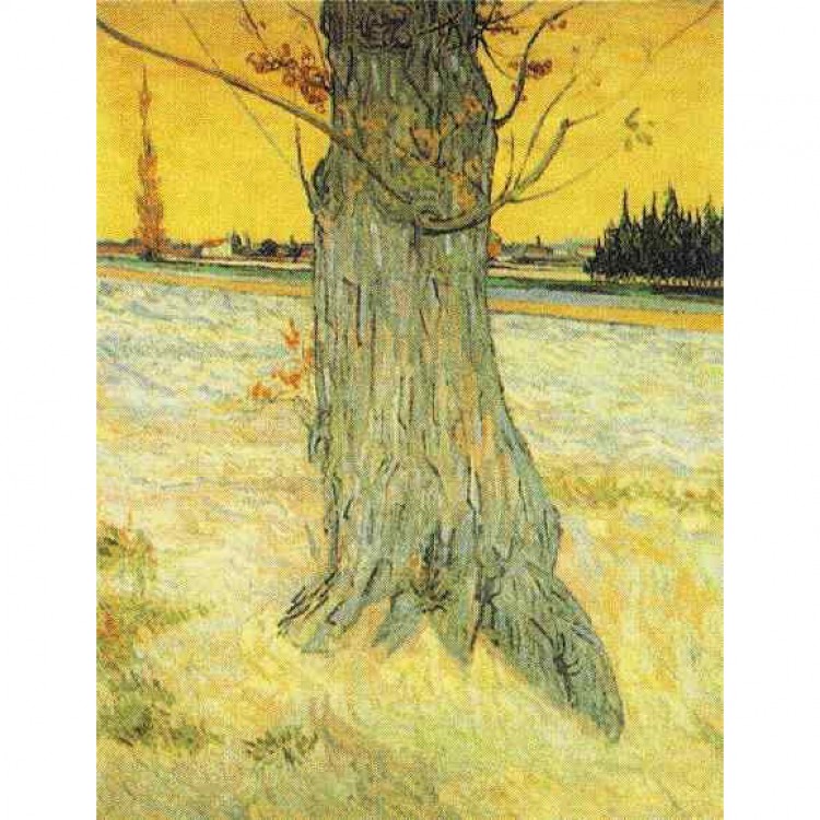 Schilderij The Old Tree foto 1