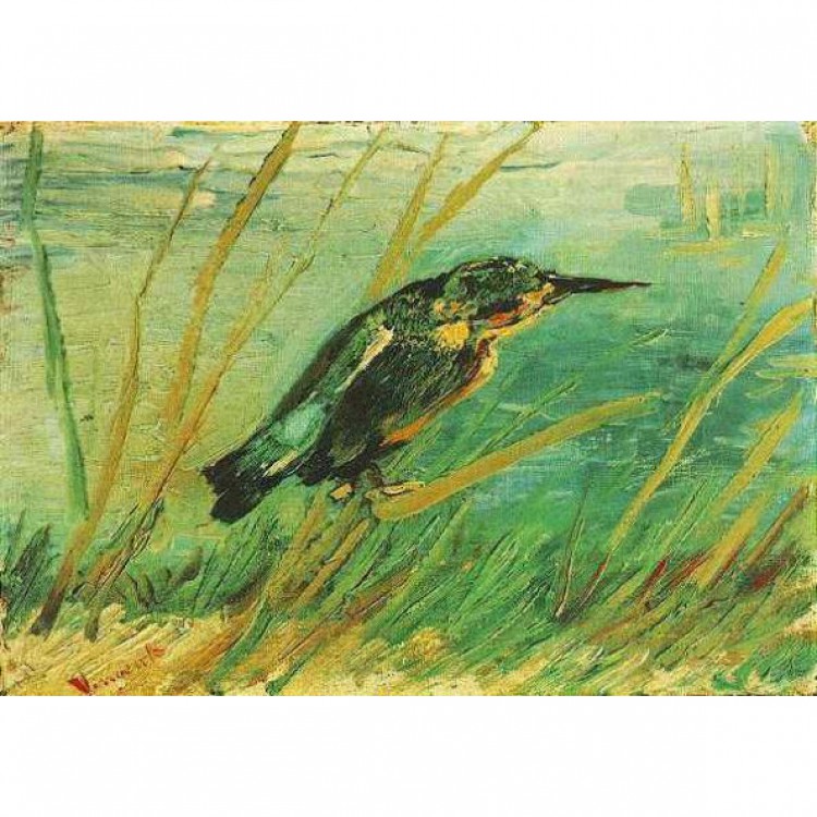 Schilderij The Kingfisher foto 1