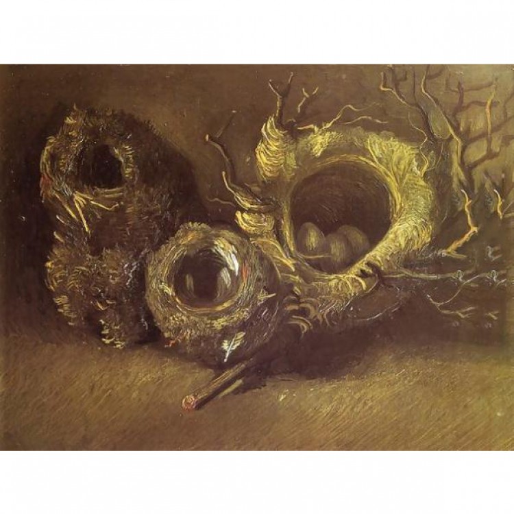 Schilderij Birds Nest foto 1