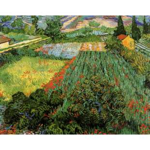 Reproductie schilderij Veld met klaprozen van Van Gogh foto 2