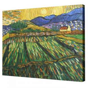 Schilderij Veld met opkomende zon  foto 1