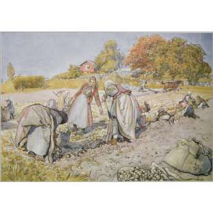 Olieverf schilderij Digging Potatoes foto 1