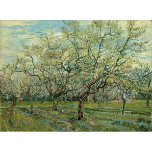 Olieverschilderij De witte boomgaard foto 1