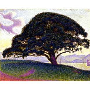 Schilderij The Bonaventure Pine foto 1