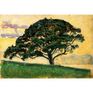 Olieverf schilderij Pine St. Tropez foto 1