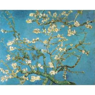 Olieverf schilderij Amandelbloesem foto 1