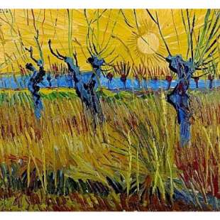  Schilderij Knotwilgen bij zonsondergang foto 1