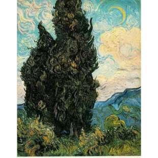 Schilderij Road With Cypress and Star foto 1