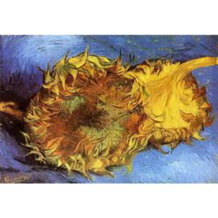 Schilderij Two Faded Sunflowers foto 1
