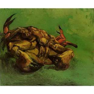 Schilderij Cancer Lying On The Back foto 1