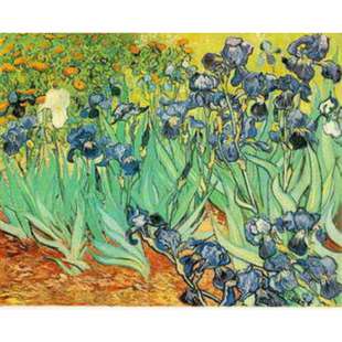 Schilderij The Irises foto 1