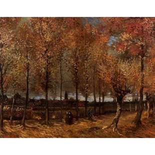 Schilderij Lane with poplars foto 1