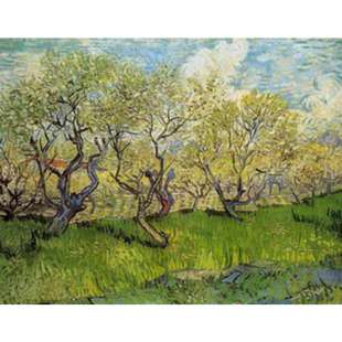 Schilderij Orchard in blossom foto 1