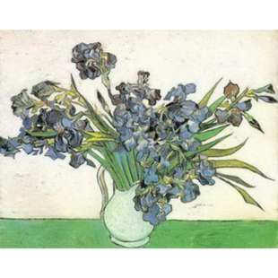 Schilderij Still Life With Irises Flowers foto 1