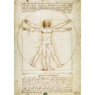Schilderij Man van Vitruvius - Da vinci foto 1