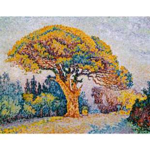 Schilderij Kiefer in Saint Tropez foto 1
