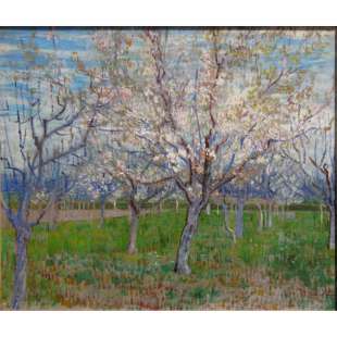 Schilderij Bloeiende fruittuin foto 1