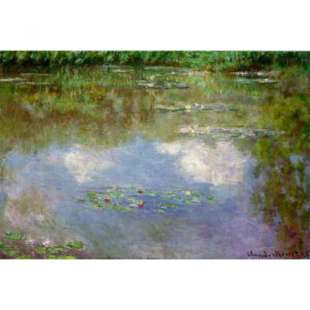 Schilderij Waterlelies  foto 1