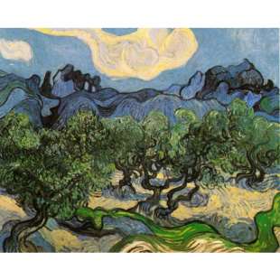 Schilderij Olive Trees with the Alpilles foto 1