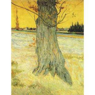 Schilderij The Old Tree foto 1