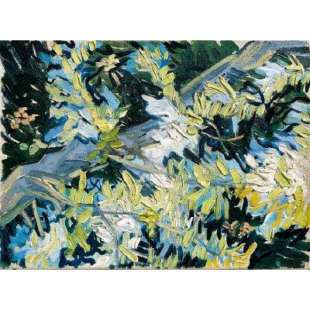 Schilderij Blossoming Acacia Branches foto 1