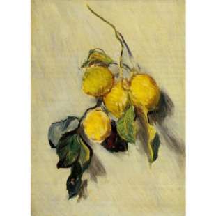 Reproductie Schilderij Monet Branch Of Lemons foto 1