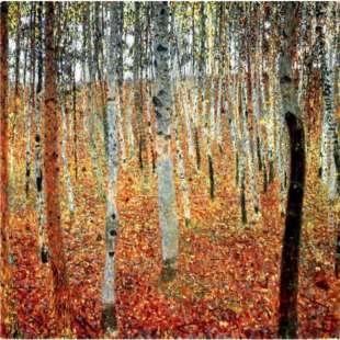 Schilderij Forest of Beeches foto 1