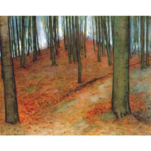 Schilderijen Wood with beech trees foto 1